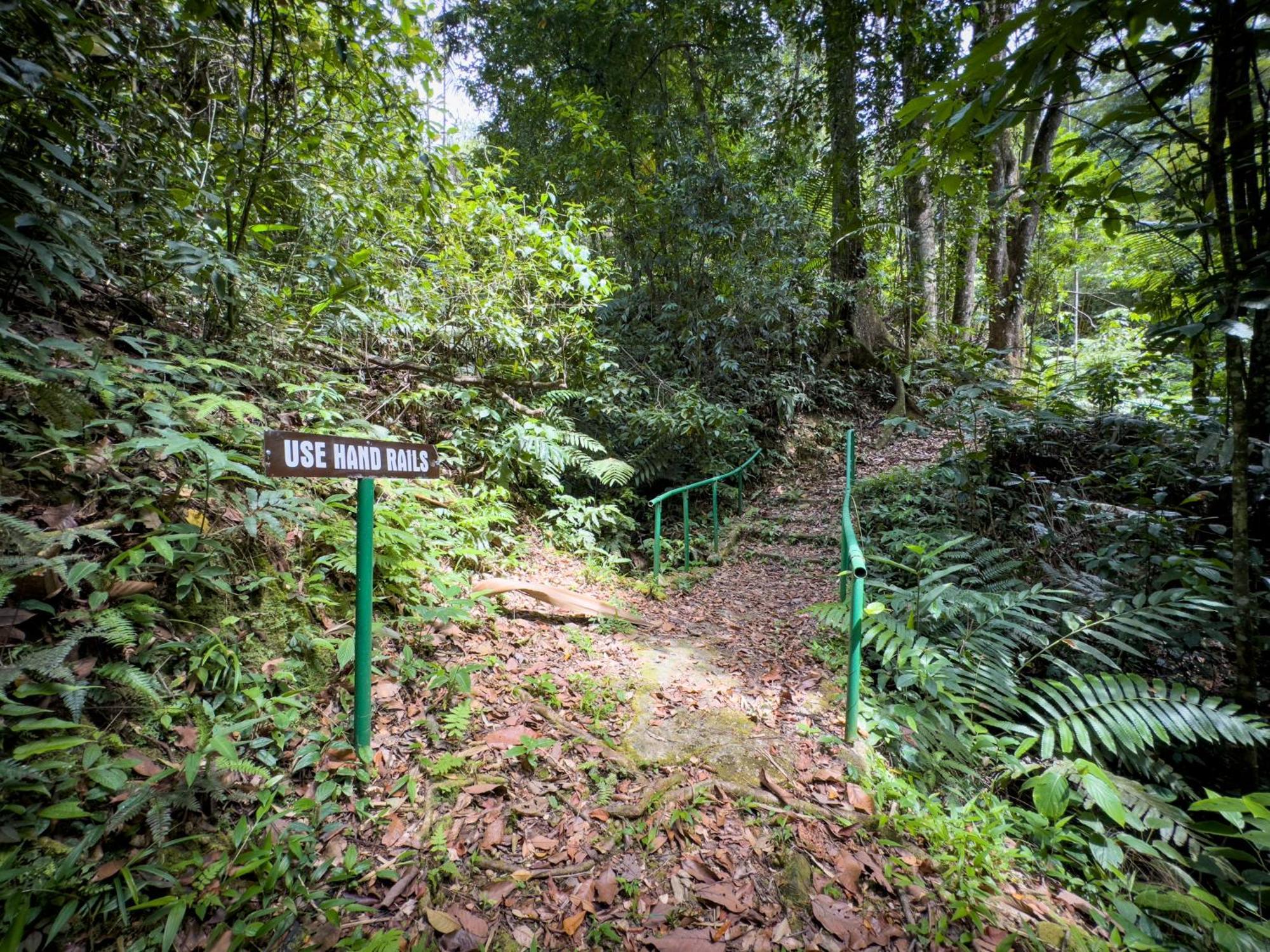 Hadco Experiences At Asa Wright Nature Centre Blanchisseuse Extérieur photo