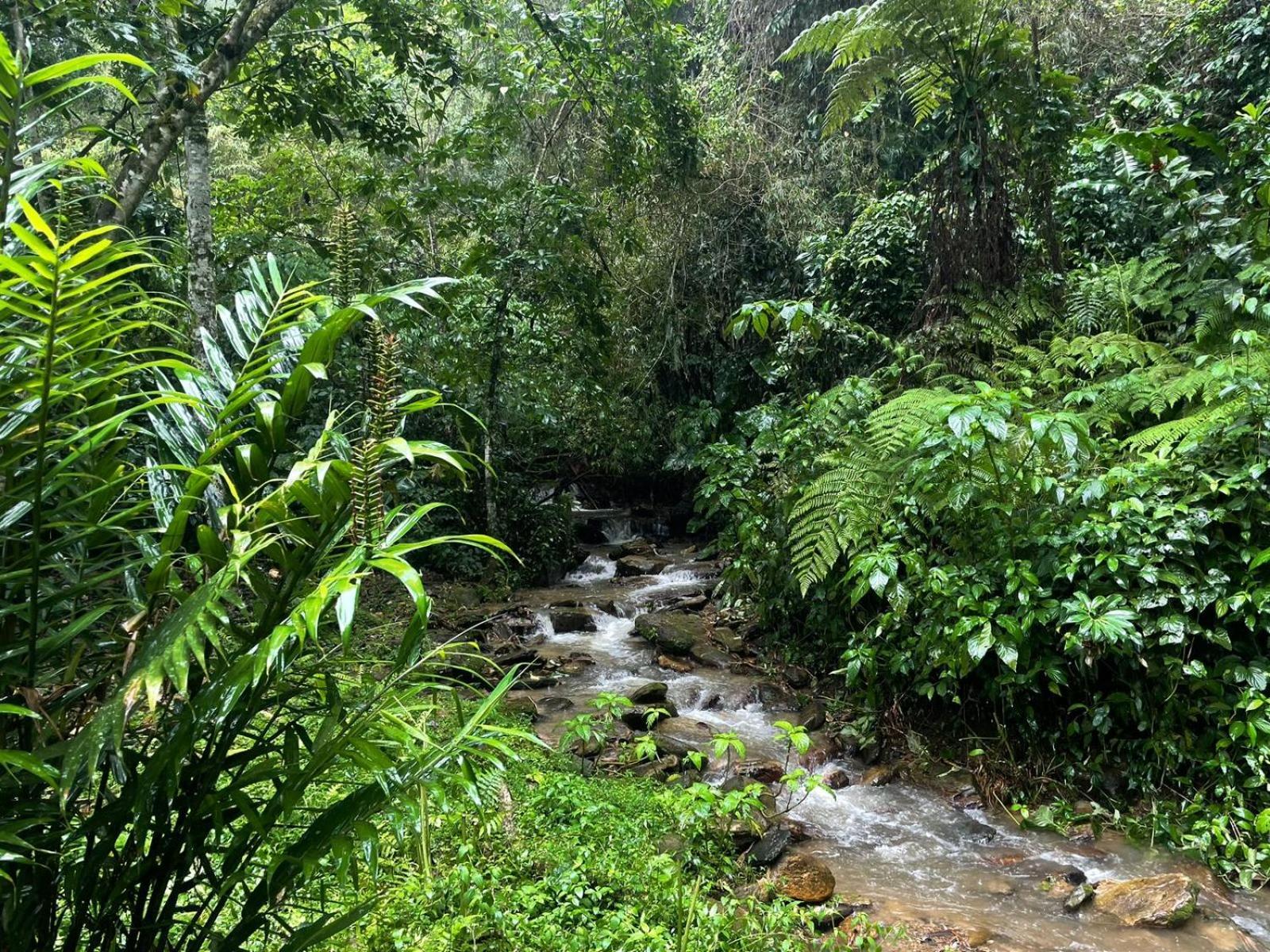 Hadco Experiences At Asa Wright Nature Centre Blanchisseuse Extérieur photo