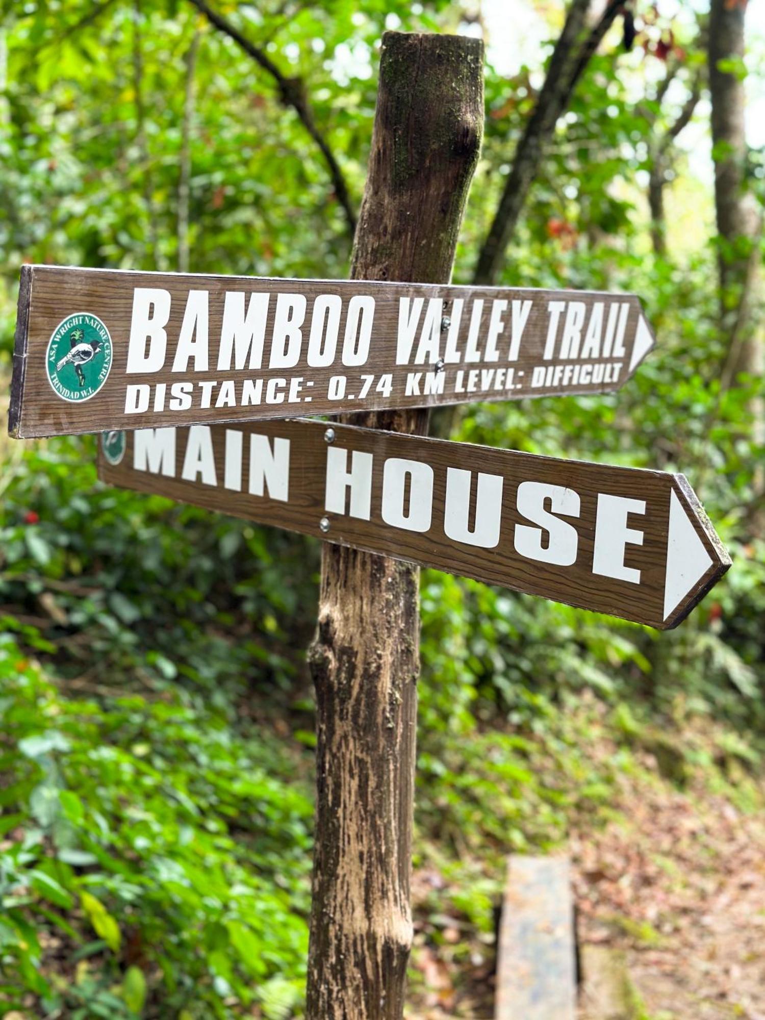 Hadco Experiences At Asa Wright Nature Centre Blanchisseuse Extérieur photo
